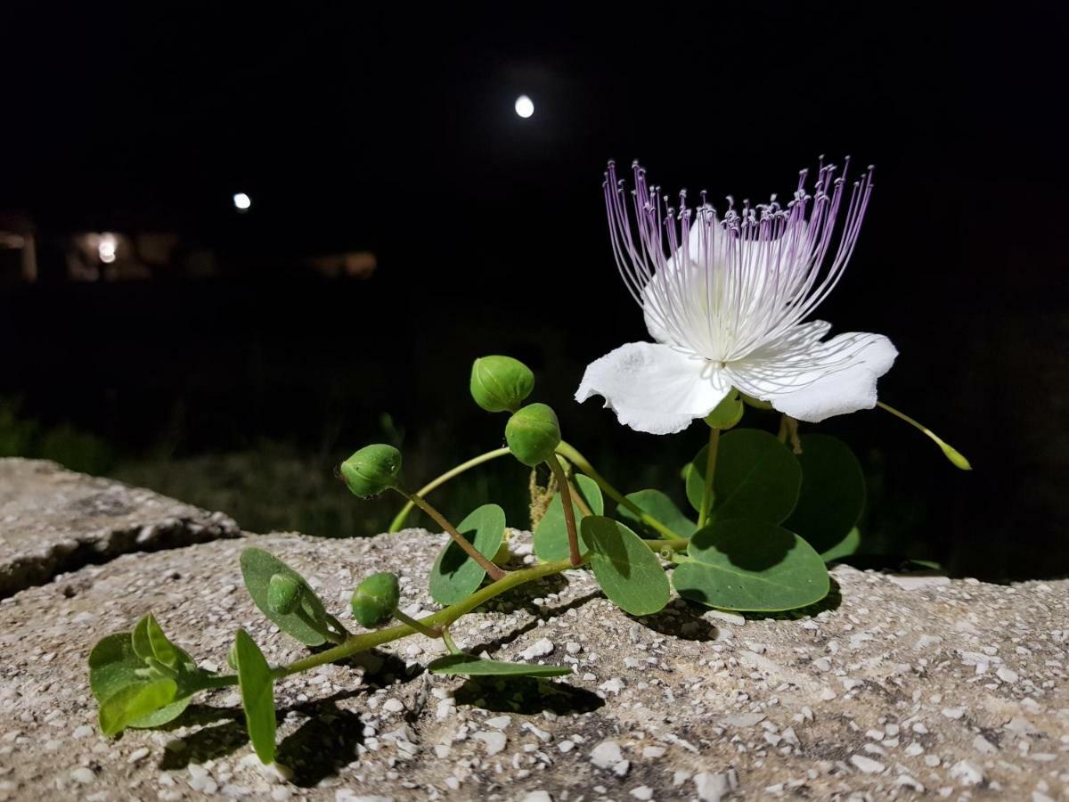 Apartmán Casa Mirella Favignana Exteriér fotografie